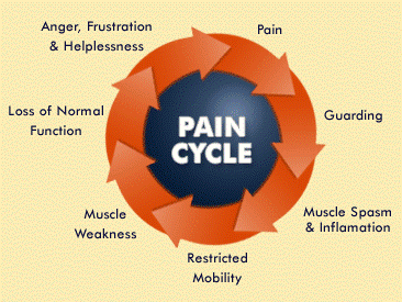 paincycle